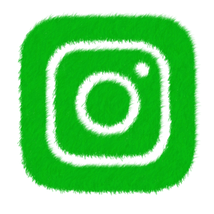 לוגו ירוק
